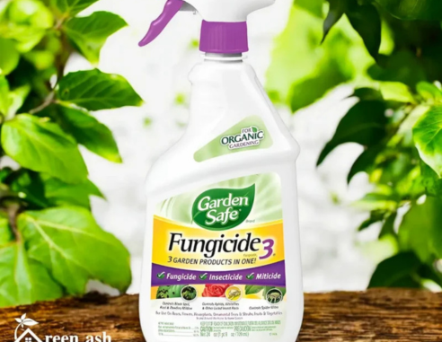 About Abhiraj Enterprises