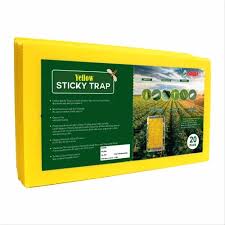 Yellow Sticky Trap